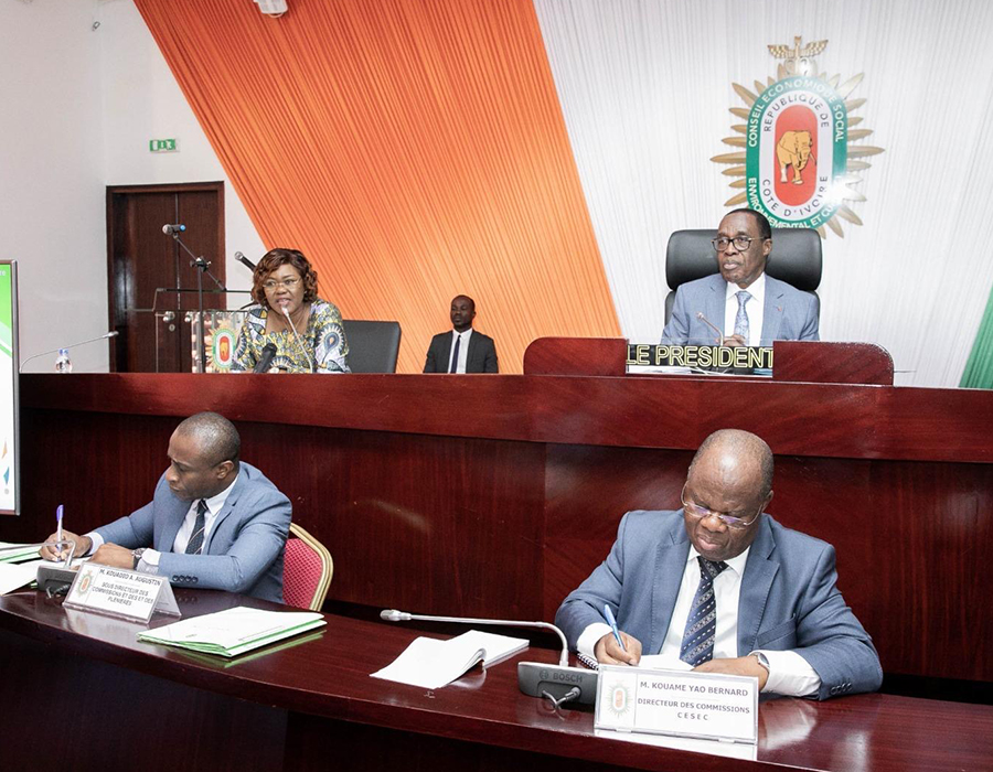 Changement climatique : Nialé Kaba présente les avantages de l’économie verte aux conseillers du Cesec